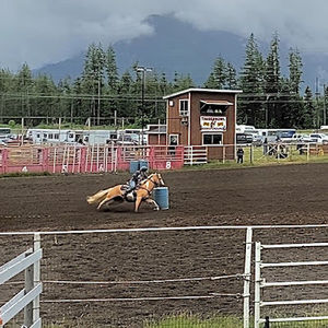 Meet your Posher, Ann